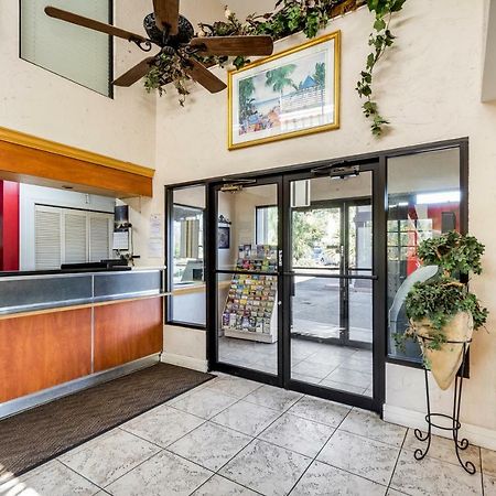 Econo Lodge Palm Harbor - Clearwater מראה חיצוני תמונה