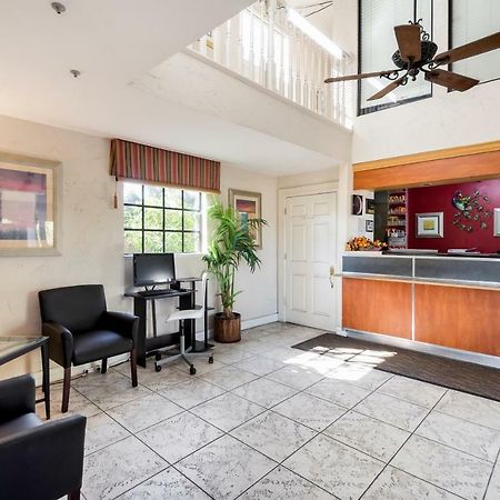 Econo Lodge Palm Harbor - Clearwater מראה חיצוני תמונה