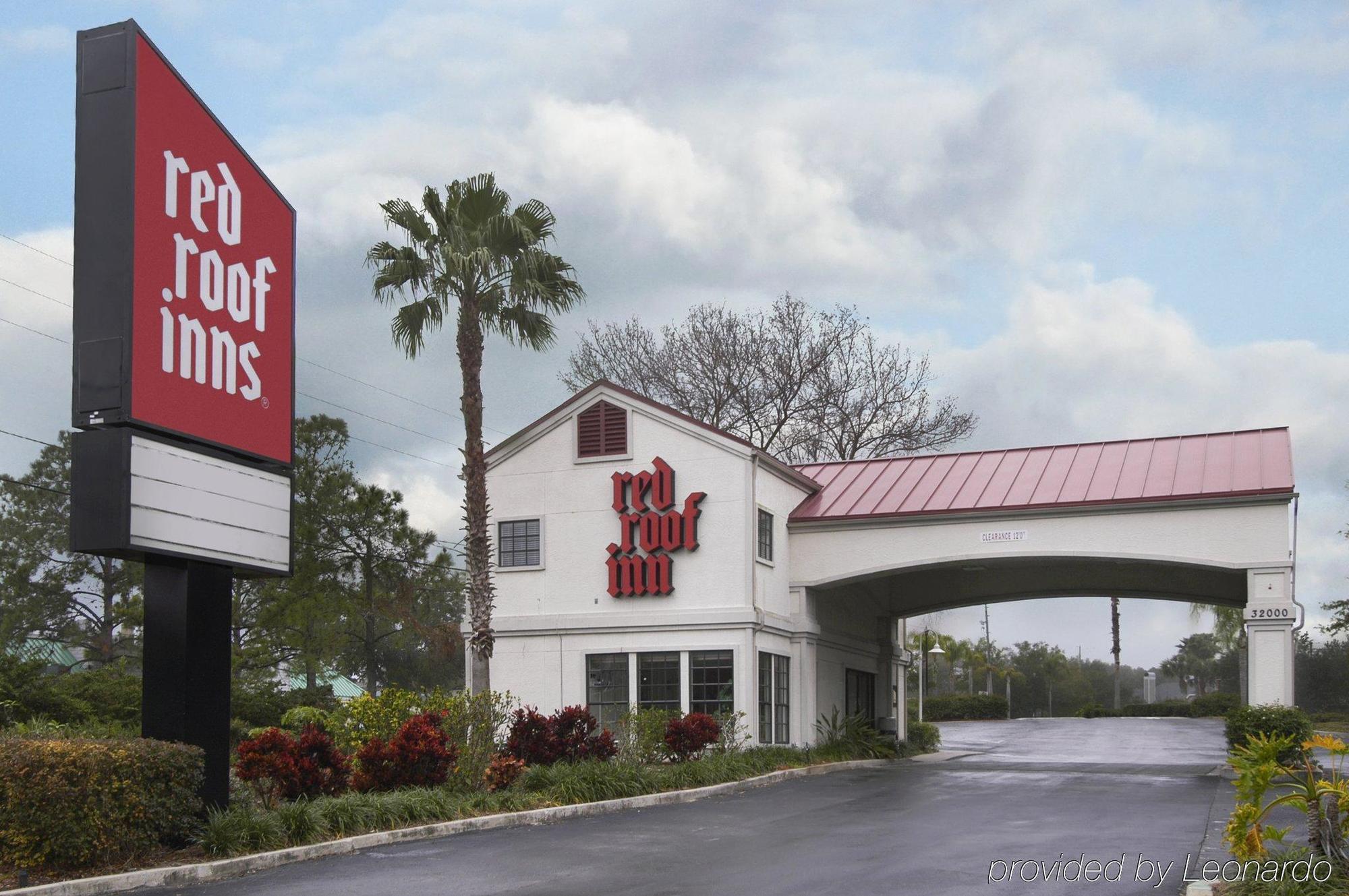 Econo Lodge Palm Harbor - Clearwater מראה חיצוני תמונה