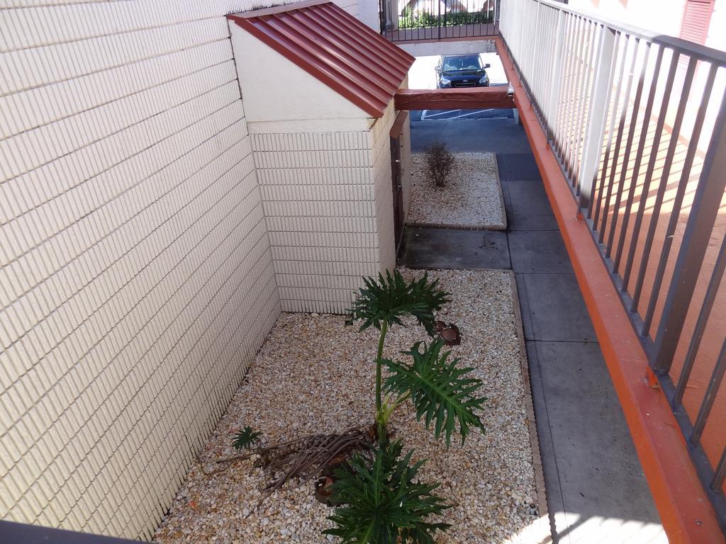 Econo Lodge Palm Harbor - Clearwater מראה חיצוני תמונה