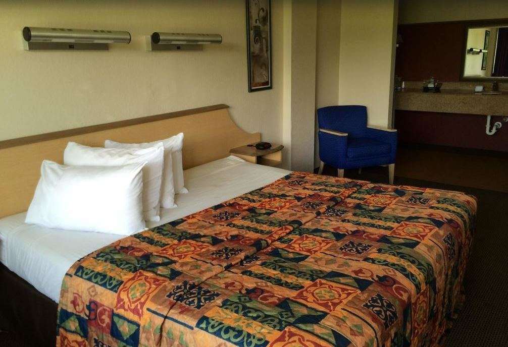 Econo Lodge Palm Harbor - Clearwater חדר תמונה